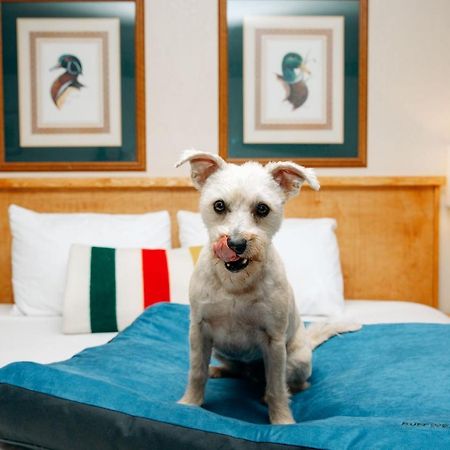 Timbers Motel Bigfork Bagian luar foto